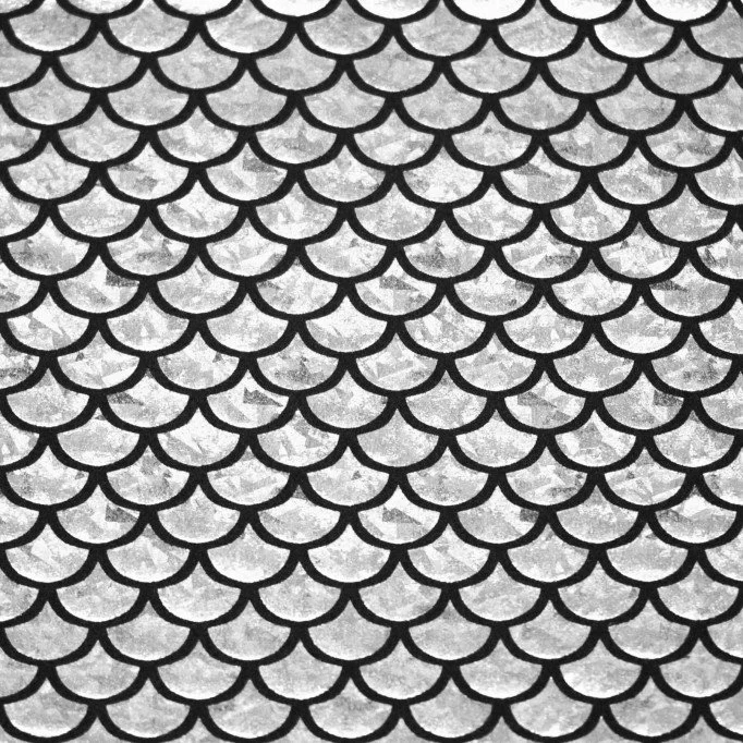 Tessuto Olografico Lycra (Scaglie Di Sirena) Argento - (Tessuti Di Danza)