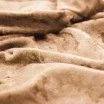 Velluto Panné Tessuto Cammello Velluto Panné Tessuto Cammello - (Velluto Panné)