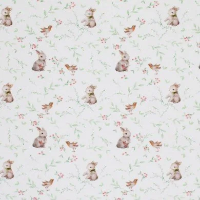 Baumwolljersey Digital - Rotkehlchen Mit Kaninchen