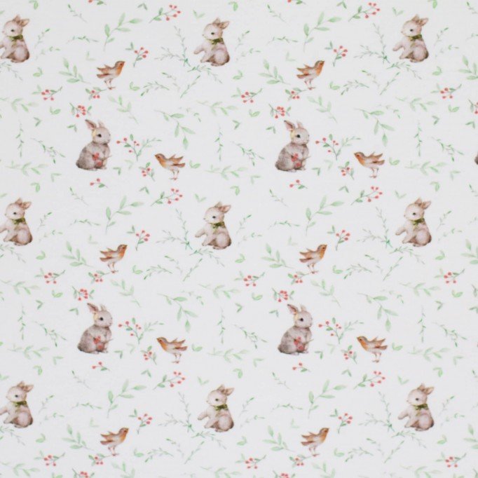 Baumwolljersey Digital - Rotkehlchen Mit Kaninchen - (Baumwolljersey Digitaldruck)