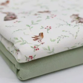 Baumwolljersey Digital - Rotkehlchen Mit Kaninchen