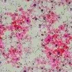 Digitale Print Bamboe Jersey - Pruimenbloesem Beige Fuchsia Digitale Print Bamboe Jersey - Pruimenbloesem Beige Fuchsia - (Tricot Jersey Bedrukt)