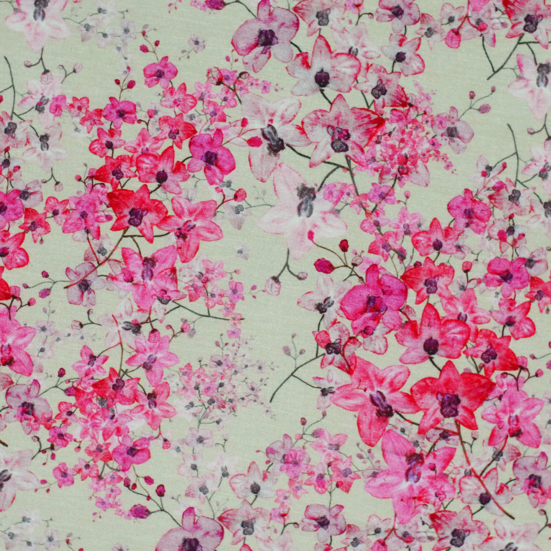 Digitale Print Bamboe Jersey - Pruimenbloesem Beige Fuchsia