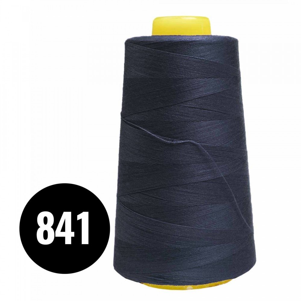 Fils à Coudre Overlock Marine (841)