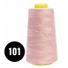 Overlock Thread Nude Pink (101)