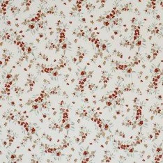 Tessuto Jersey Di Cotone Costine - Ramoscello Di Rosmarino Beige Tessuto Jersey Di Cotone Costine - Ramoscello Di Rosmarino Beige