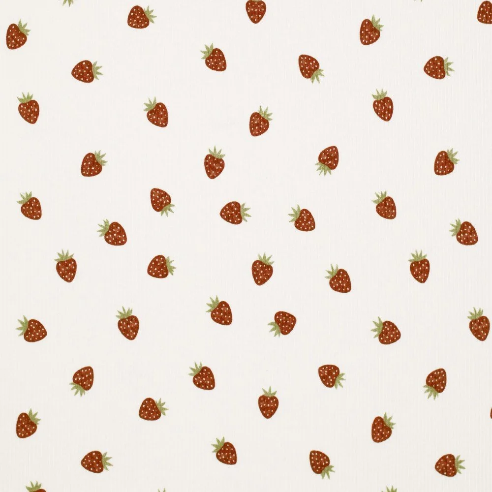 Rib Jersey Stof - Fruit Plezier Aardbeien