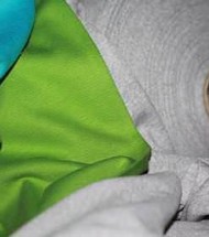 Ribkant i Linning Ribkant i Linning