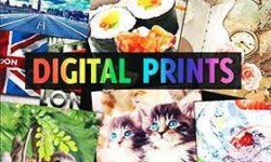 Jersey Di Cotone Digitale Stampata