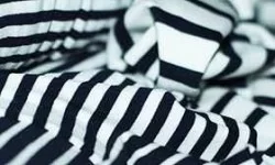 Jersey Stripe Fabric