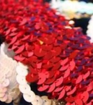Sequin Trim Sequin Trim