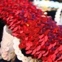 Sequin Trim Sequin Trim