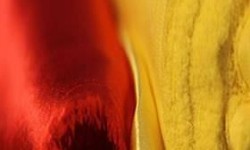 Raso Di Crepe Tessuto