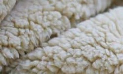 Curly Teddy Fabric