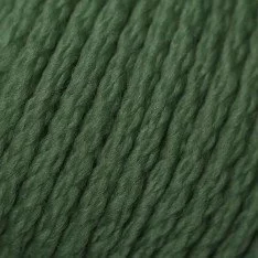 Filati Di Lana Merino ISPE Ago Spessore 7 - 8 Verde Scuro
