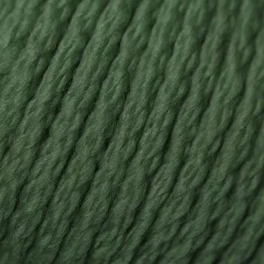 Fil De Laine 100% Mérinos ISPE Aiguilles 7 - 8 Vert Foncé - (Fils Et Laines Layette Aiguilles 7 - 8)