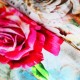 Jersey Cotton Fabric Digital Print - Big Rose Flower Jersey Cotton Fabric Digital Print - Big Rose Flower