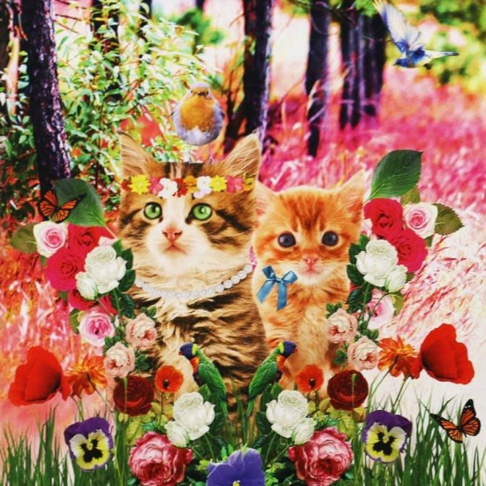 Jersey Cotton Fabric Digital Print - Cat Panel Jersey Cotton Fabric Digital Print - Cat Panel