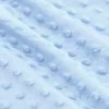Minky Fleece Fabric Light Blue