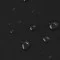 Raincoat Fabric Black - (Fashion Fabrics)