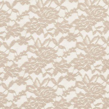 Tessuto Pizzo Stretch Beige