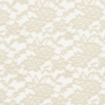 Tessuto Pizzo Stretch Ecru