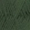 Strickwolle ISPE Nadelstärke 4 Dunkelgrün - (Wolle Strickgarn Nadel Größe 4)