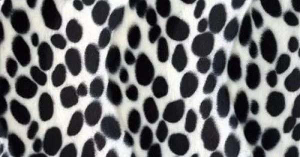 Velboa Dalmatiner Weiß