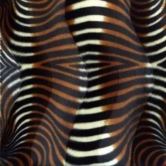Velboa Okapi Brown