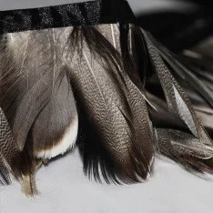 Ruban De Plumes 10cm Canard