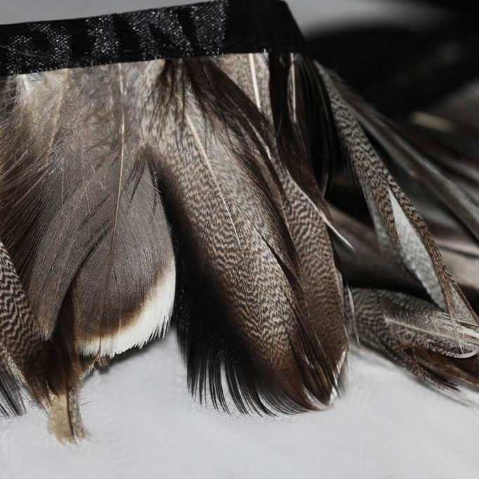 Feather Ribbon 10cm Duck - (Feather Ribbon)