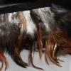 Feather Ribbon 10cm Cocks